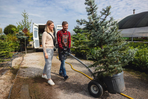 How Our Tree Care Process Works  in  Bull Valley, IL